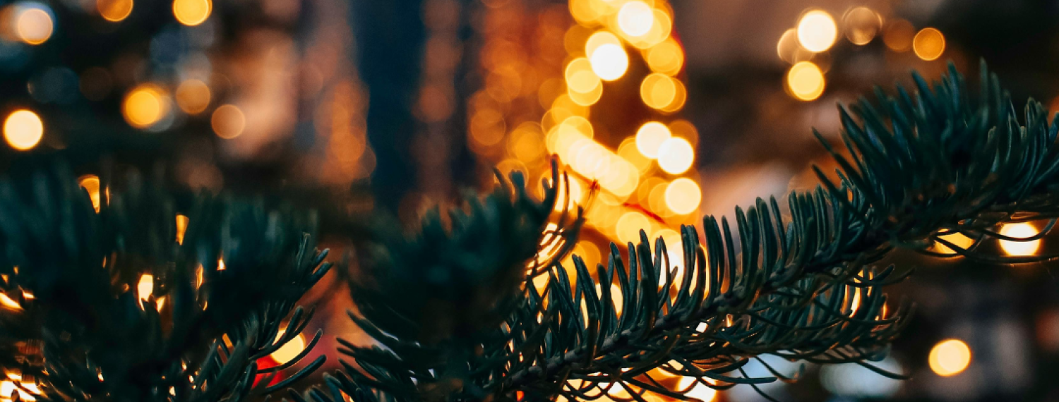 2025 Christmas Lights Competition 